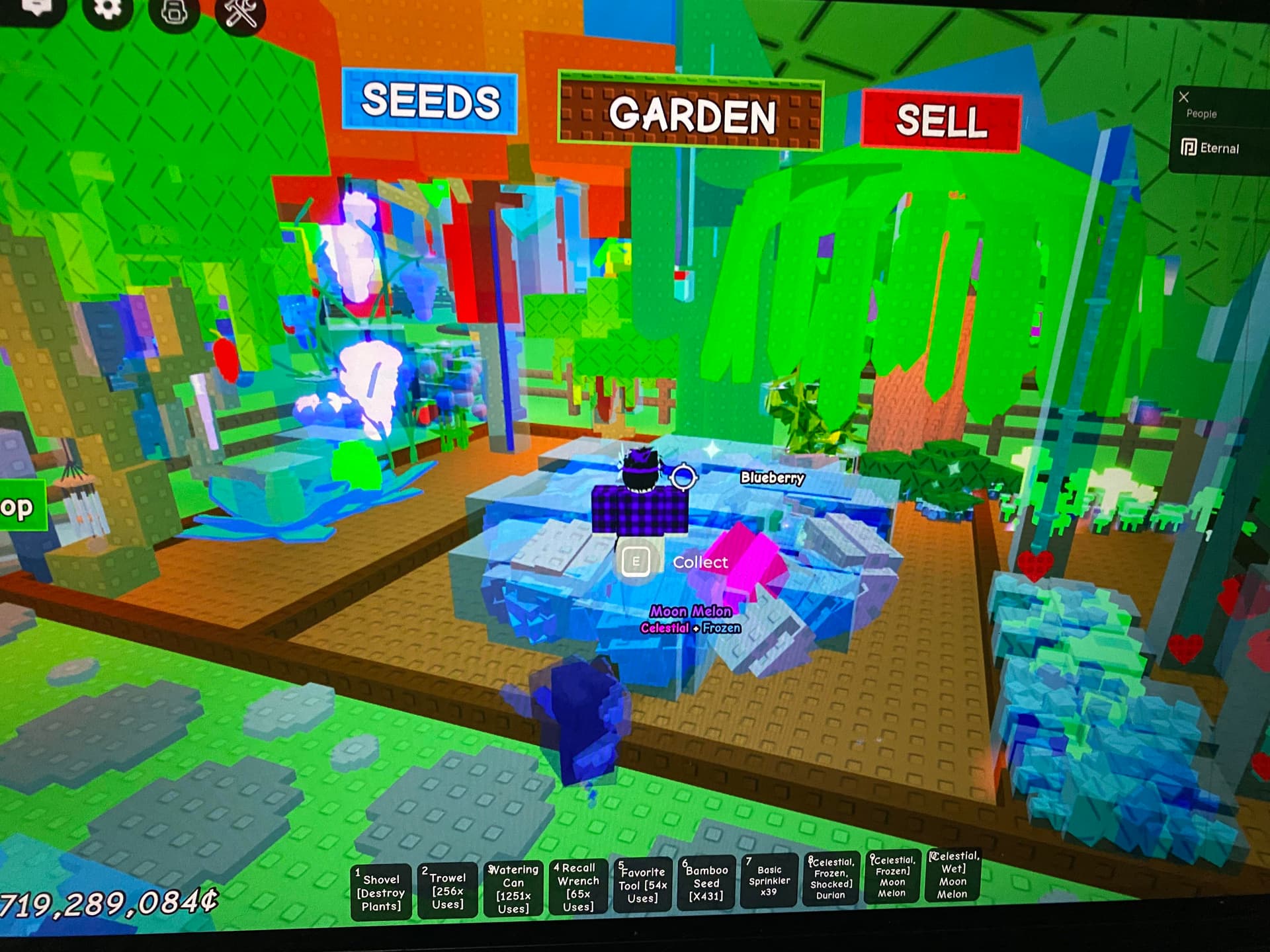 Garden Layout